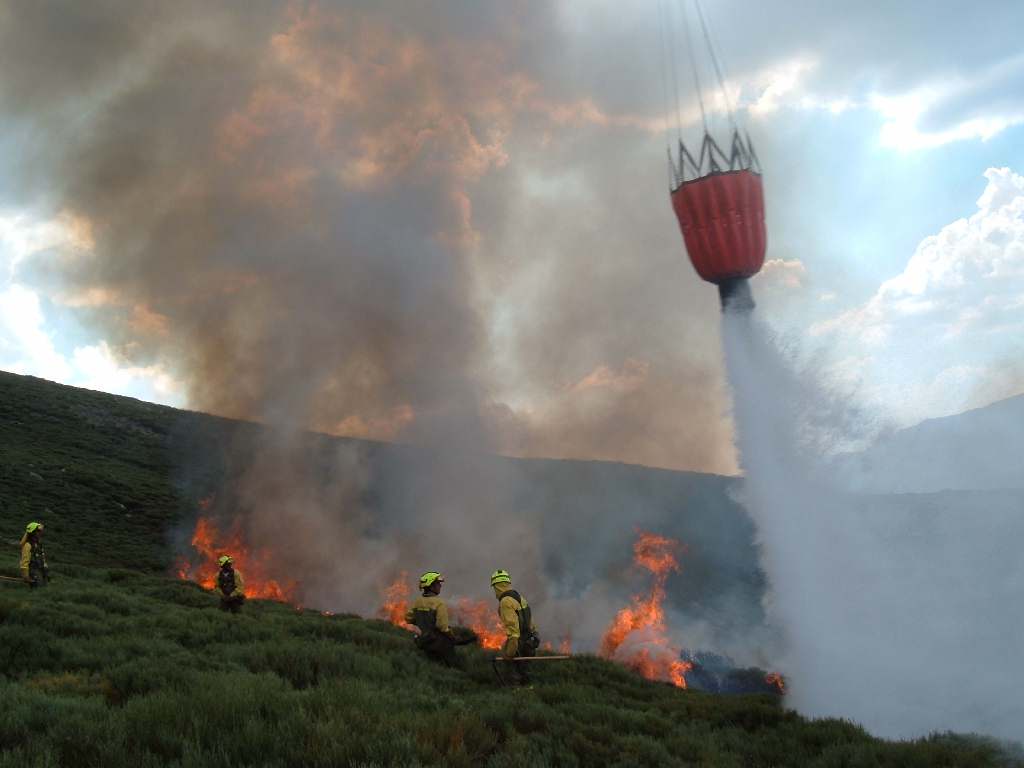 Incendios forestales: ¿estamos a tiempo de evitar un 2023 catastrófico?