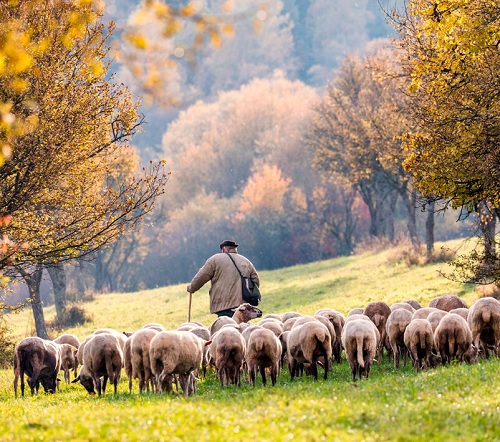 El papel de las comunidades rurales, clave para la prevención de incendios forestales