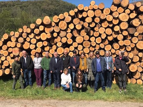 Los montes españoles están peligro si no se actúa rápidamente