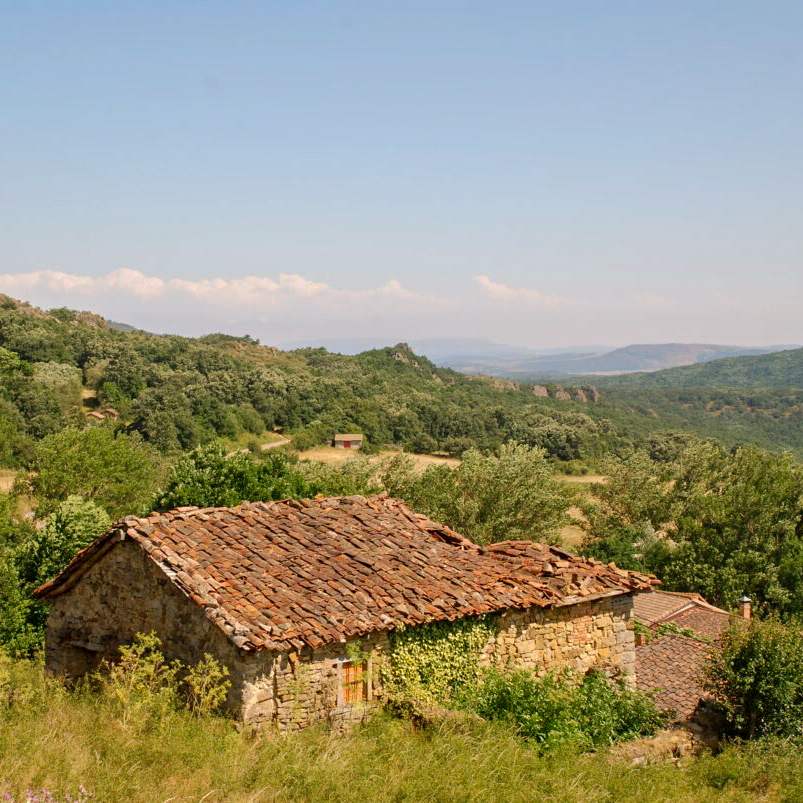 La Ley Agraria de Castilla y León margina «lo forestal»
