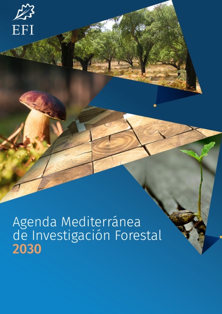 NUEVA PUBLICACIÓN: Agenda Mediterránea de Investigación Forestal  2030
