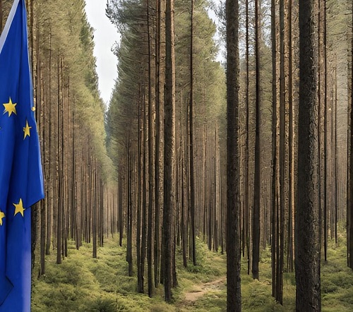 Un nuevo estudio presenta nueve recomendaciones para ayudar a aplicar la Estrategia Forestal de la UE