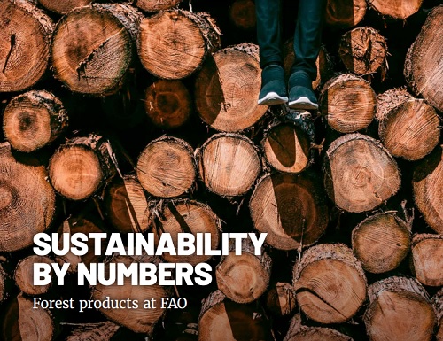 "Sustainability by Numbers": Cómo los productos y datos forestales contribuyen a construir un futuro sostenible