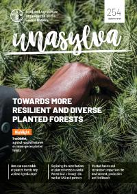 
Hacia bosques plantados más resilientes y diversos