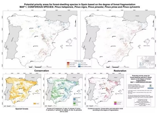 La mitad occidental, medio este y norte de España áreas potenciales para la restauración forestal