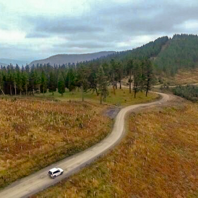 Vizcaya destina 4,7 millones de euros a ayudas para fomentar la gestión forestal sostenible y mejorar la competitividad del sector