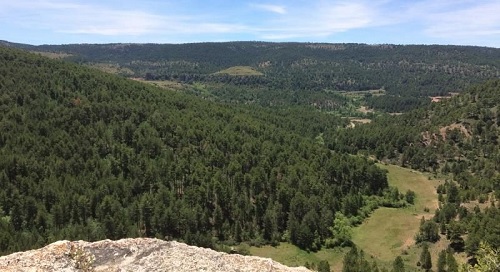 El 20 de marzo se presenta Portal de Datos Forestales de Castilla y León