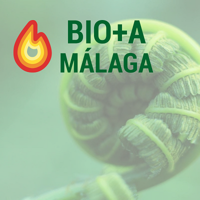 Proyecto Bio+A Málaga: Gestión Forestal Sostenible para Conservación de la Biodiversidad, mejora de Ecosistemas y fomento local de la Biomasa