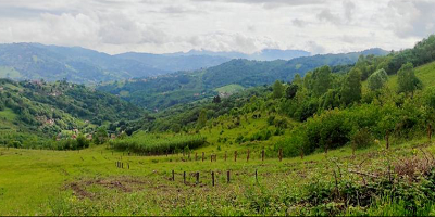 Carbon2Mine comienza los ensayos de gestión forestal y pastoral en terrenos mineros para mitigar el cambio climático