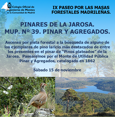 IX PASEO POR LAS MASAS FORESTALES MADRILEÑAS. Los pinares de La Jarosa