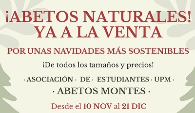 Abetos naturales MONTES 2025 ¡Ya a la venta!