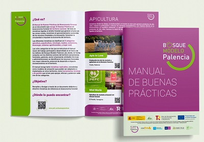 PEFC España presenta el Manual de Buenas Prácticas en Bioeconomía Forestal