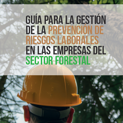 El Gobierno de Navarra publica una guía para reducir los accidentes laborales en el sector forestal e impulsar la prevención