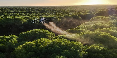 Andalucía aplica por primera vez tratamientos aéreos con drones contra la procesionaria del pino