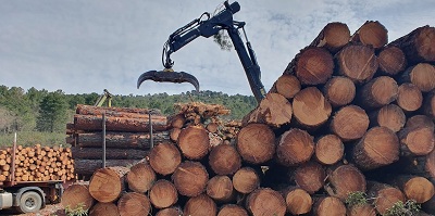 Castilla - La Mancha impulsa la gestión forestal pública y promueve la creación de siete nuevas mancomunidades