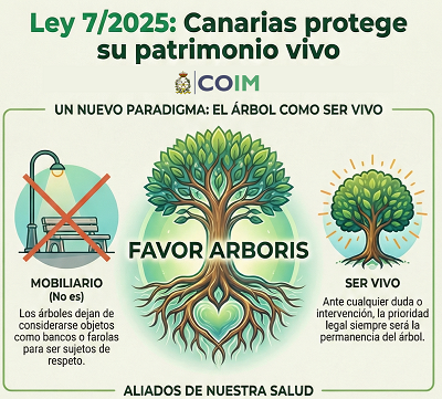 Nueva Ley de Protección del Arbolado Urbano de Canarias
