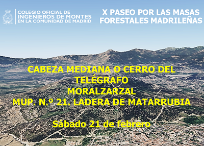 X PASEO POR LAS MASAS FORESTALES MADRILEÑAS. Cabeza Mediana
