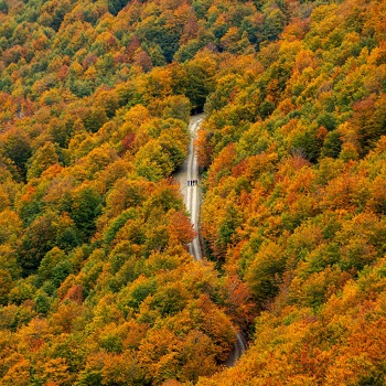 La Rioja aumenta la superficie certificada en gestión forestal sostenible hasta las 76.424 hectáreas