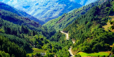 Asturias somete a información pública la evaluación ambiental del Plan de Ordenación de Recursos Forestales 2027-2041