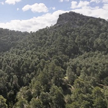Publicado el primer Registro de Montes Públicos de Andalucía