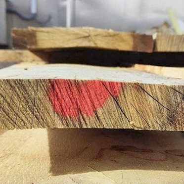La madera de rebollo, apta para la construcción
