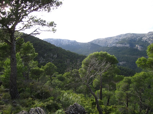 Sierra Espuña en la actualidad. Imagen Wikipedia