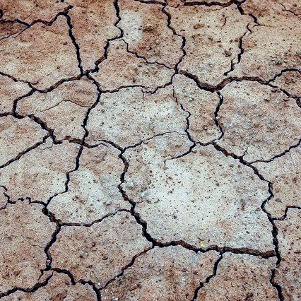 El Gobierno aprobará un nuevo Plan Nacional contra la Desertificación, que prevé tener listo en 2022