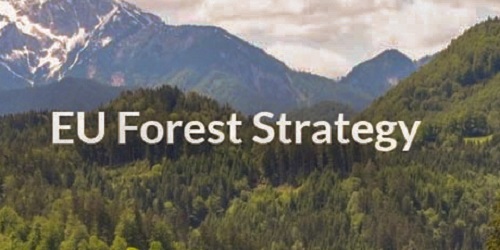 Los Estados miembros expresan una gran preocupación y piden aclaraciones sobre la nueva Estrategia Forestal de la UE
