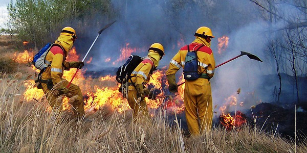 El cambio climático alargará un mes la temporada de grandes incendios en todo el mundo