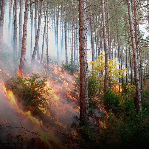 PREVINCAT, una herramienta para la planificación de la prevención de incendios forestales
